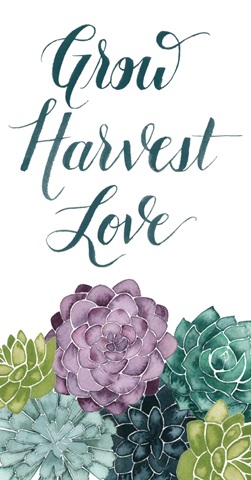 Plant Happiness Collection B