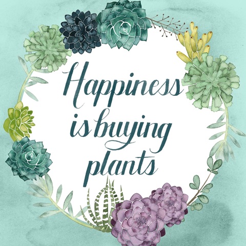 Plant Happiness Collection C