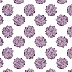 Plant Happiness Collection F