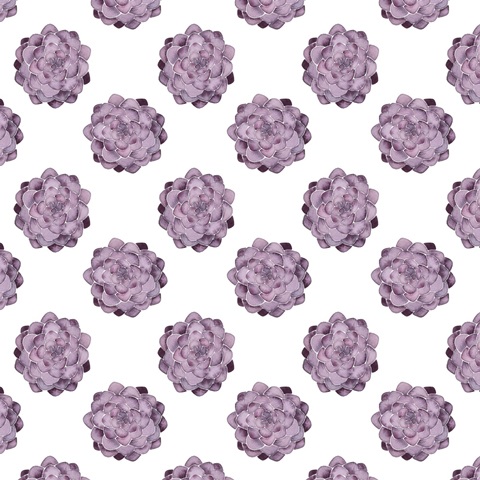 Plant Happiness Collection F