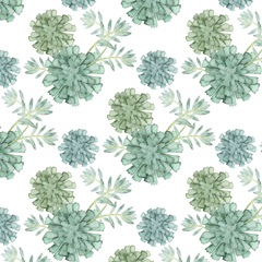 Plant Happiness Collection H