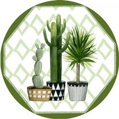 Plant Haven Collection C