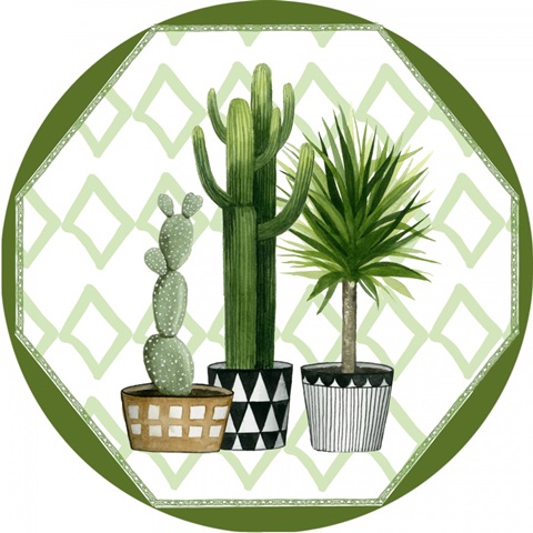 Plant Haven Collection C