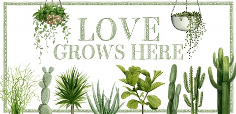 Plant Haven Collection D