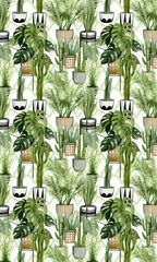 Plant Haven Collection E