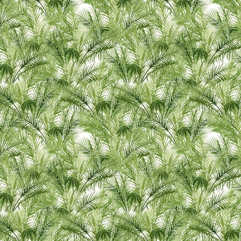 Plant Haven Collection F