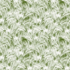 Plant Haven Collection G