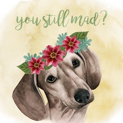 Pretty Paws Collection A