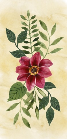 Pretty Paws Collection B