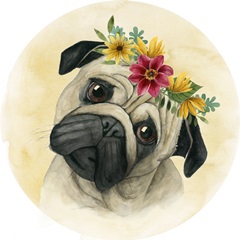 Pretty Paws Collection E