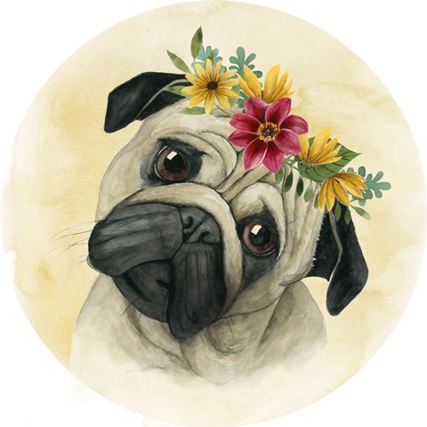 Pretty Paws Collection E