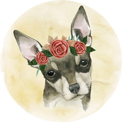 Pretty Paws Collection G