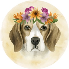 Pretty Paws Collection H