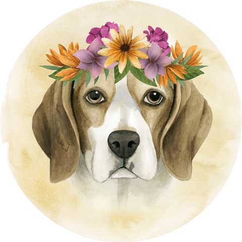 Pretty Paws Collection H