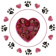 Puppy Valentine Collection C
