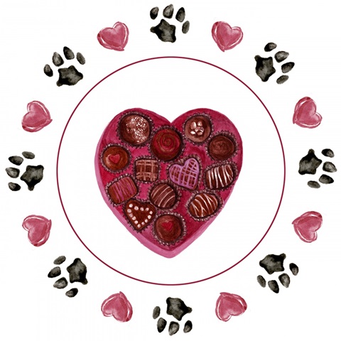 Puppy Valentine Collection C