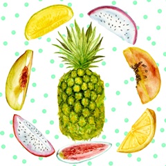 Rainbow Fruit Collection A