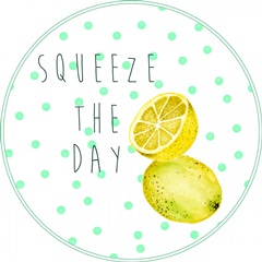 Rainbow Fruit Collection F