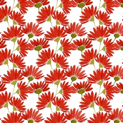 Red Autumn Collection H