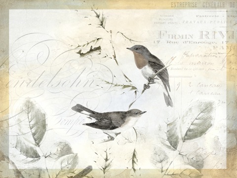 Rustic Gould Collection A