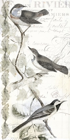 Rustic Gould Collection B