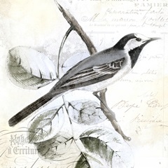 Rustic Gould Collection C