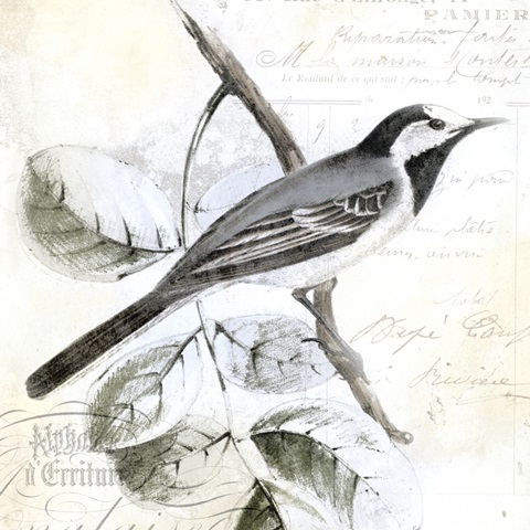 Rustic Gould Collection C