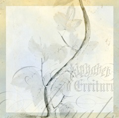 Rustic Gould Collection D