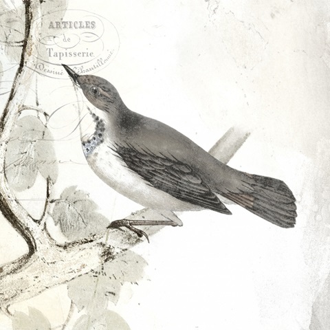 Rustic Gould Collection E