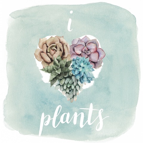 Succulent Love Collection A