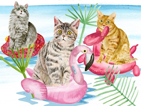 Summer Purr Party Collection A