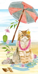 Summer Purr Party Collection B