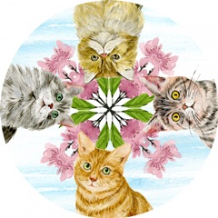 Summer Purr Party Collection C