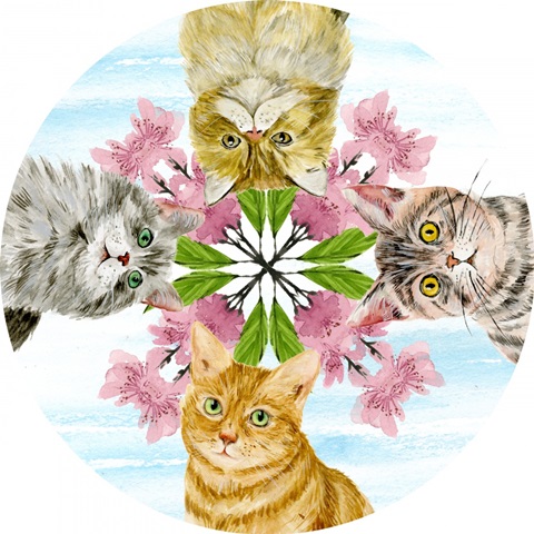 Summer Purr Party Collection C