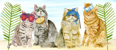 Summer Purr Party Collection D