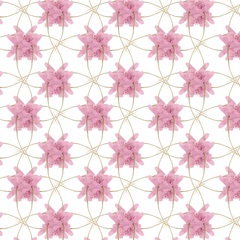 Summer Purr Party Collection G