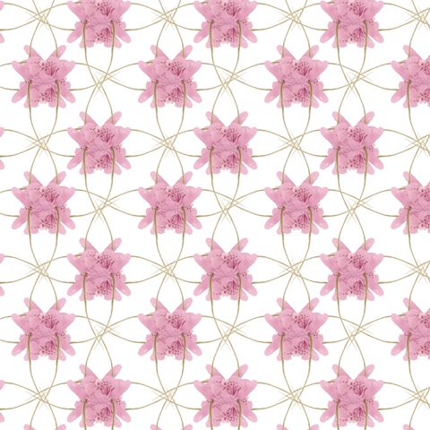 Summer Purr Party Collection G