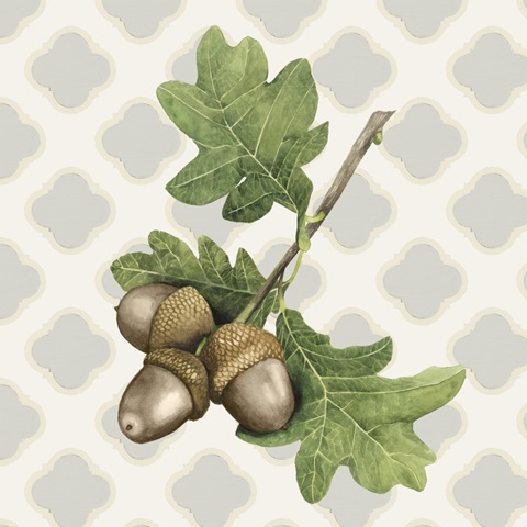 Sweet Autumn Collection A