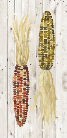 Sweet Autumn Collection B