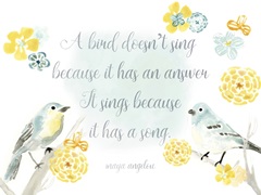 Sweet Songbird Collection A