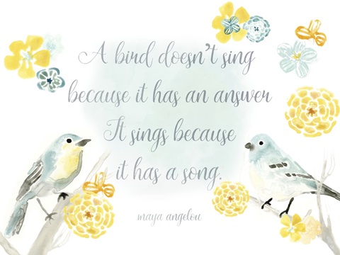 Sweet Songbird Collection A