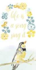 Sweet Songbird Collection B