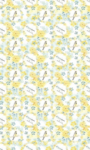 Sweet Songbird Collection E