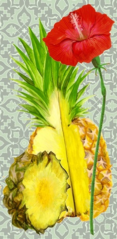 Toucan Tropical Collection B