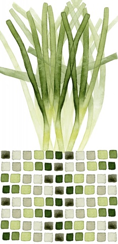 Vegetable Love Collection B