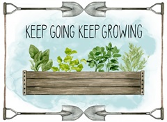 Watercolor Herb Collection A