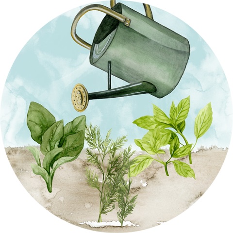 Watercolor Herb Collection C