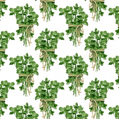 Watercolor Herb Collection F