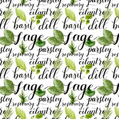 Watercolor Herb Collection H