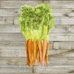 Watercolor Veggies Collection C